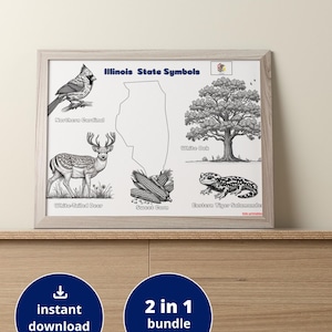 Illinois Coloring Page| United States Coloring Pages | Illinois State Map | Illinois State Symbols Coloring Pages, Illinois Classroom Poster