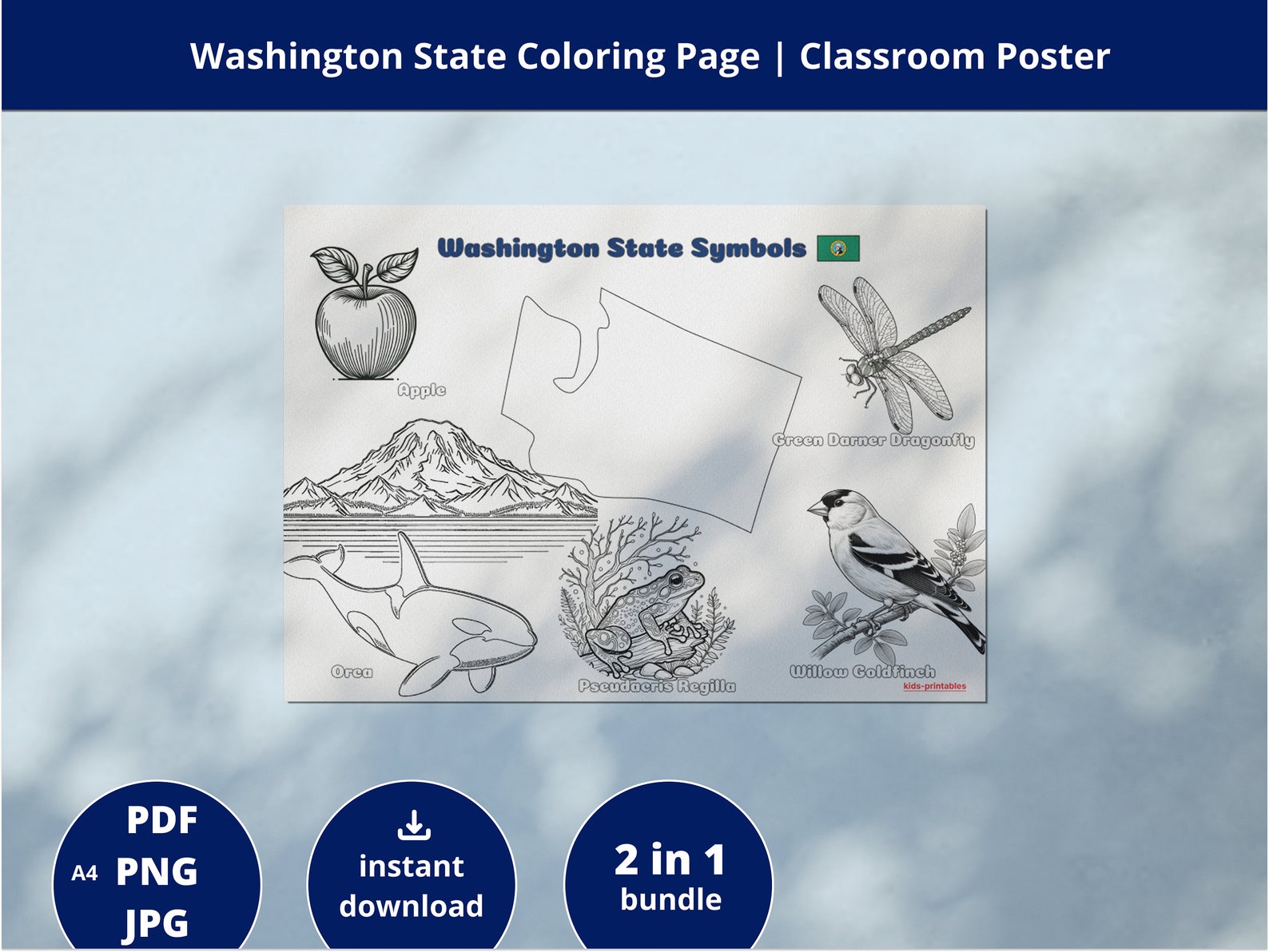 Washington State Symbols Art Print Washington State Coloring Page State