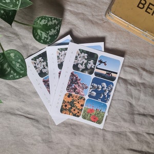 Könnte beinhalten: Satz von vier Karten mit dem Text "All the Flowers" auf jeder Karte. Jede Karte zeigt ein anderes Blumenfoto, darunter weiße Blumen, rosa Blumen, gelbe Blumen und rote Blumen.