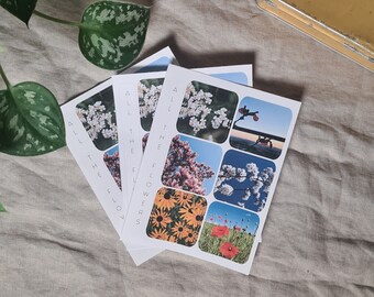 May include: Set of four cards with the text "All the Flowers" printed on each card. Each card features a different floral photograph, including white flowers, pink flowers, yellow flowers, and red flowers.