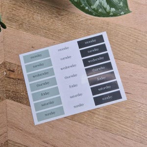 Weekdagen Stickervel, esthetische transparante stickers voor weekplanning, cadeau, Made in Switzerland