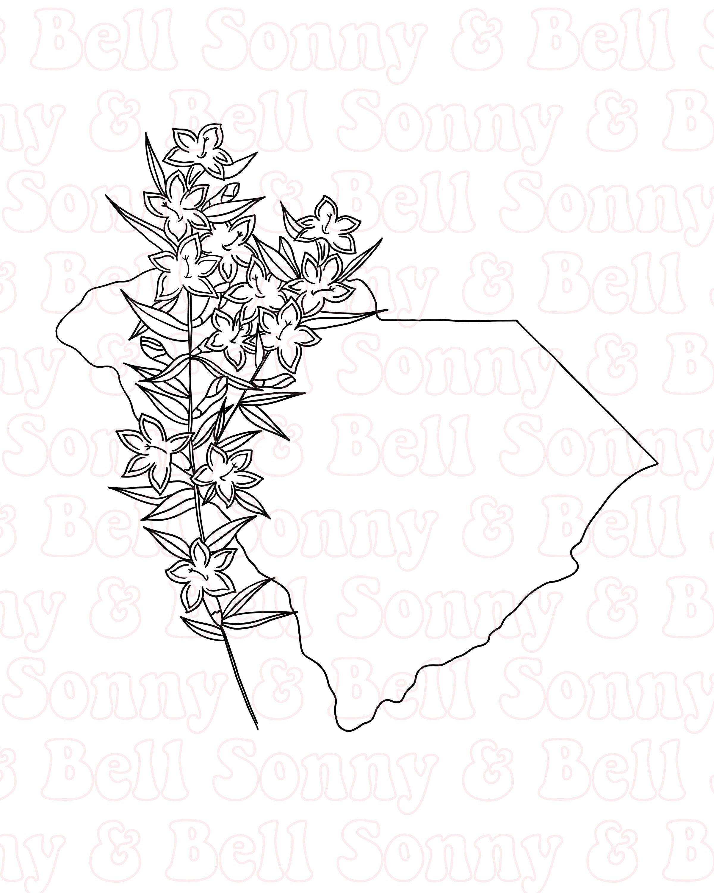 South Carolina State Flower Jasmine Wall Art Print Boho | Etsy