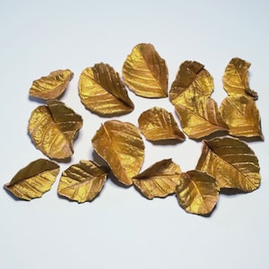 12 fondant/gum paste gold rose leaves for cake/cupcake decorations. Edible sugar leaf.