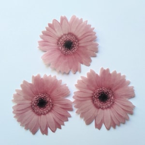 12 edible wafer paper pink daisy flowers for cake and cupcake decorating.