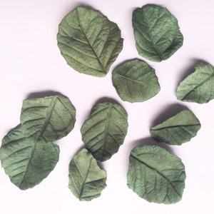 Fondant/gum paste green rose leaves for cake/cupcake decorations.