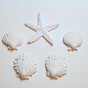 Large fondant white seashells cake toppers.