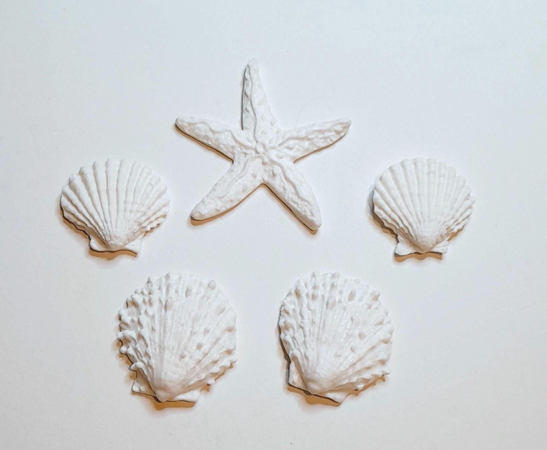 Large fondant white seashells cake toppers.
