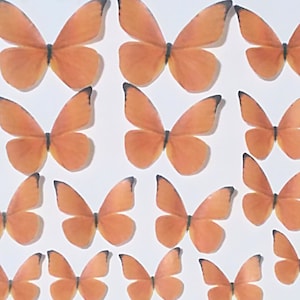 18 orange wafer paper butterflies. Precut. Edible topper for cake and cupcake decorating.  B34