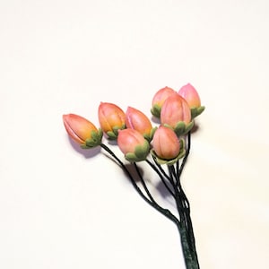Fondant / Gum paste hypericum berries. Edible sugar hypericum berry cake topper