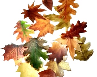 Wafer paper autumn leaves cake toppers. Set of 16 different fall leaves