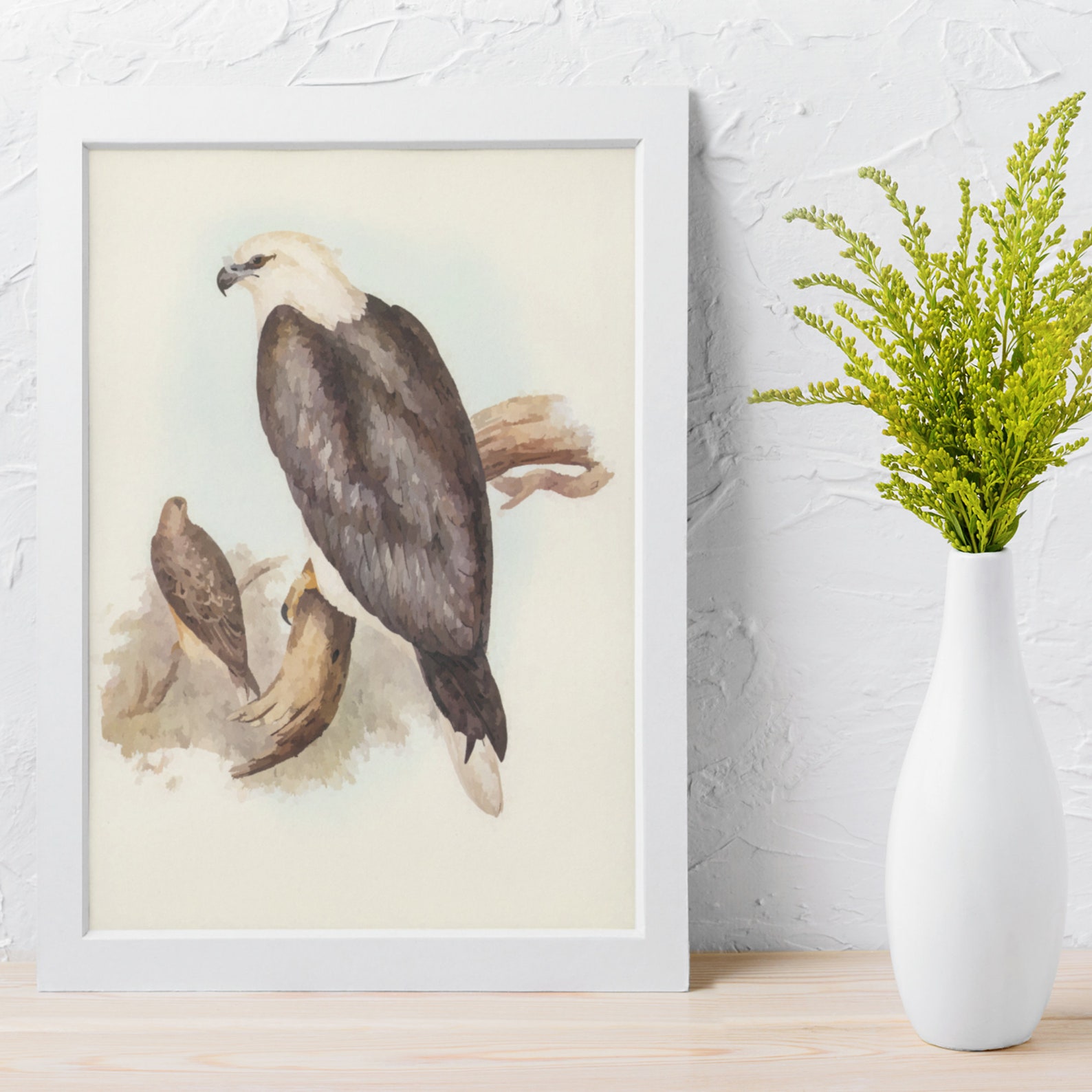 Printable Bird Art Decoration Instant Download Wall Art - Etsy