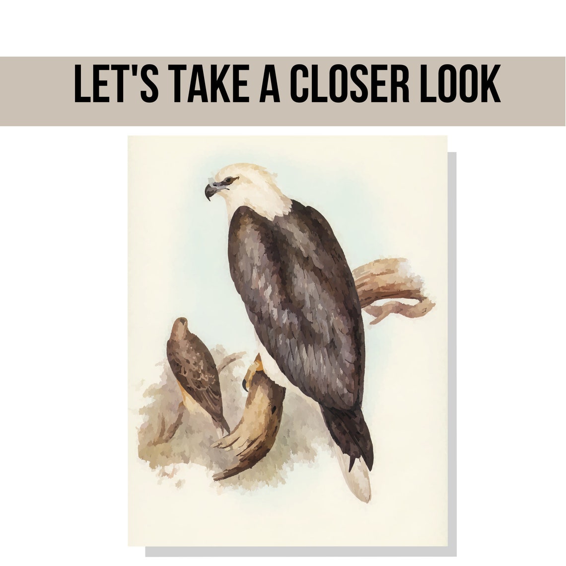 Printable Bird Art Decoration Instant Download Wall Art - Etsy
