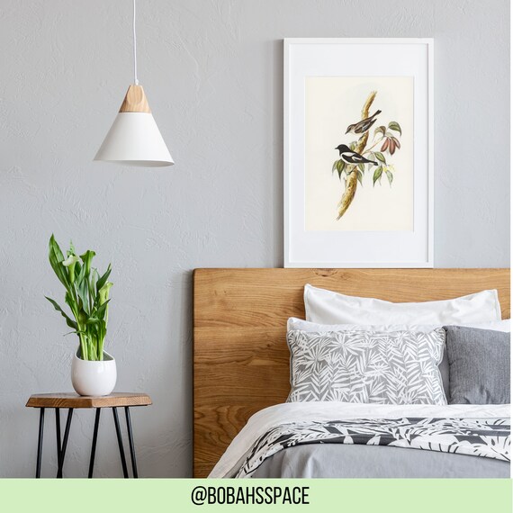 Printable Australian Bird Wall Art Instant Download Wall - Etsy