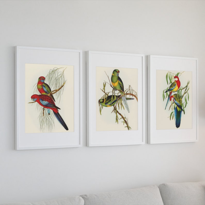 Printable Bird Wall Art Instant Download Wall Art Decoration - Etsy