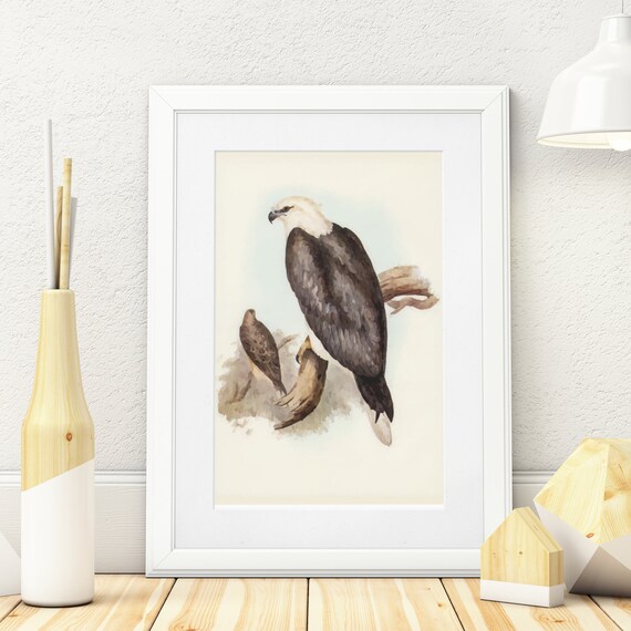 Printable Bird Art Decoration Instant Download Wall Art - Etsy
