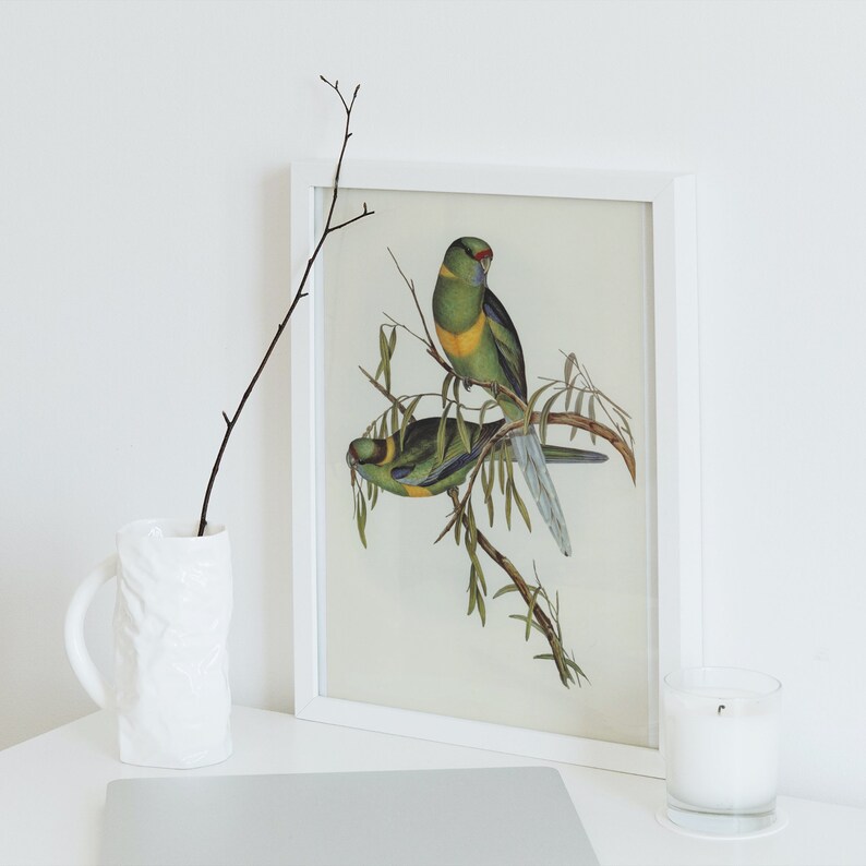 Printable Bird Wall Art Instant Download Wall Art Decoration - Etsy