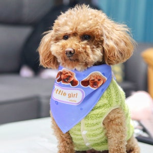 May include: A brown and white poodle wearing a light blue bandana with a white border and the text "little girl -plunto" and two small dog illustrations. The bandana has a white border and a white polka dot pattern.