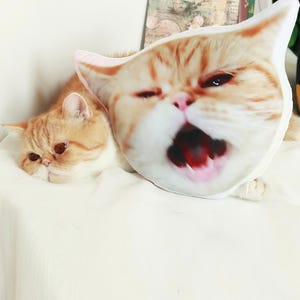 Cuscino personalizzato con ritratto di animali domestici, cuscino personalizzato con foto di cane/gatto
