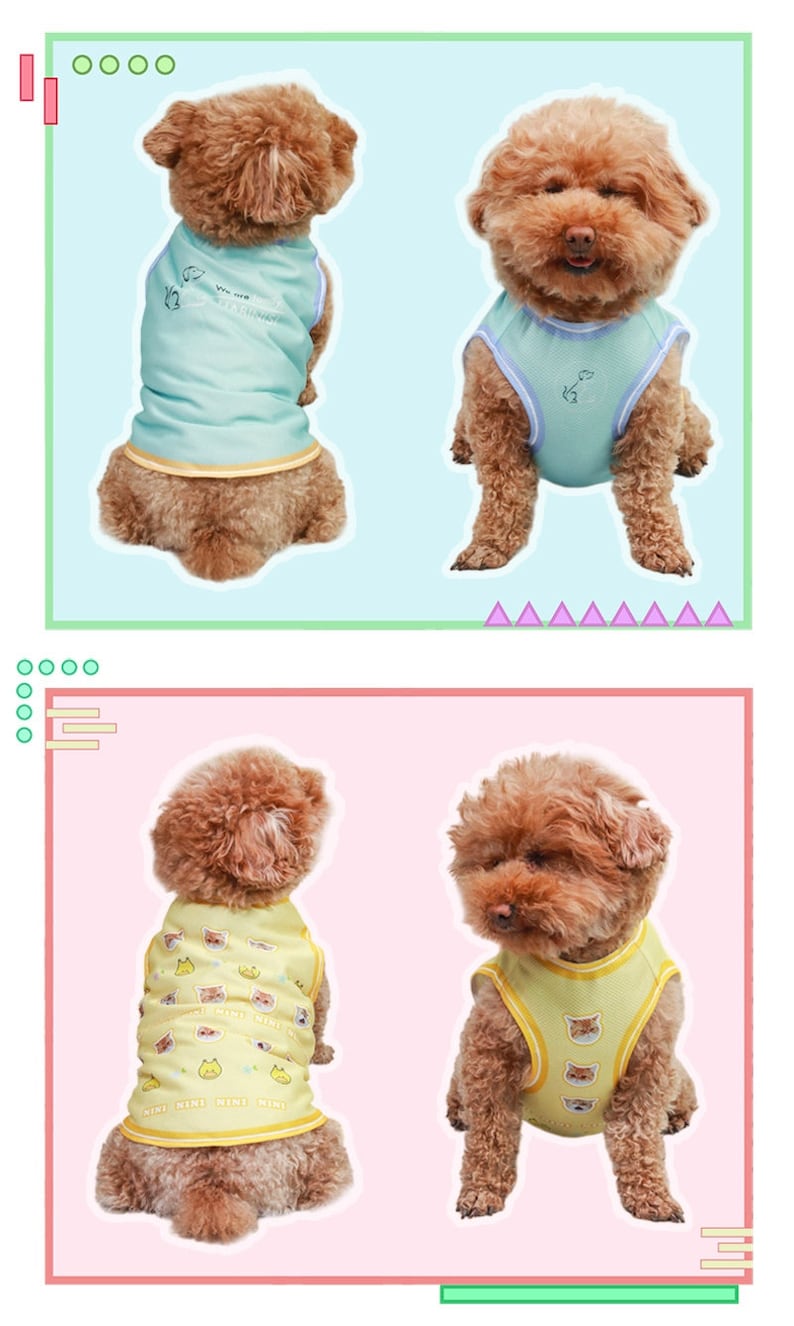 May include: Two brown dogs wearing sleeveless shirts. The first dog is wearing a light blue shirt with a small graphic on the front. The second dog is wearing a yellow shirt with a pattern of small animal faces.