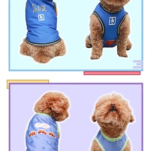 May include: Two images of a brown dog wearing a blue basketball jersey with the number 13 and the word "LIN" on the front. Two images of a brown dog wearing a blue tank top with a green trim and a paw print design on the back that says "dog girl".