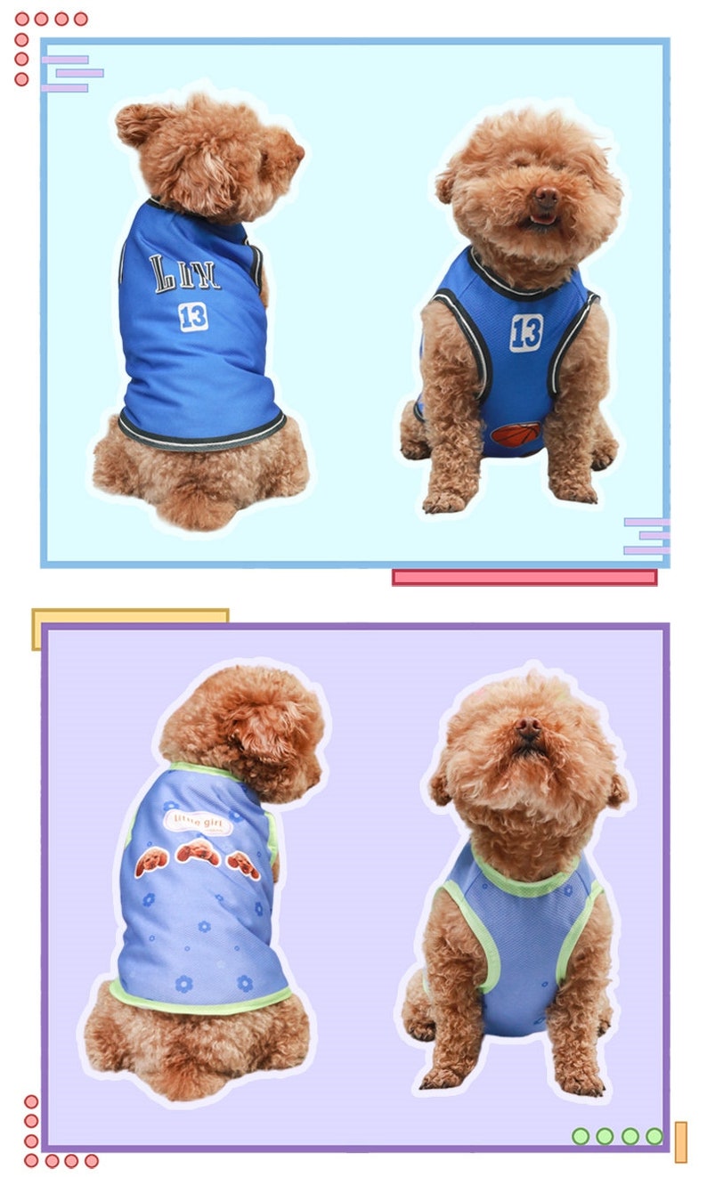 May include: Two images of a brown dog wearing a blue basketball jersey with the number 13 and the word "LIN" on the front. Two images of a brown dog wearing a blue tank top with a green trim and a paw print design on the back that says "dog girl".