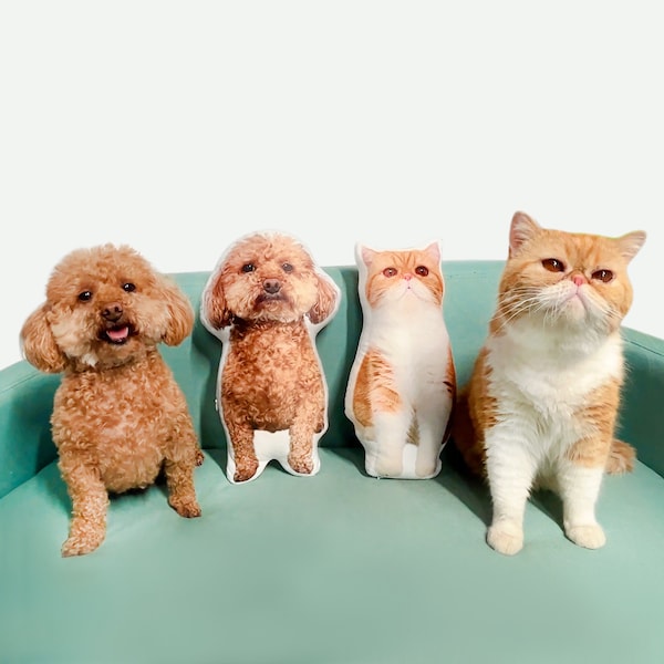 Customized Dog Photo Pillow, Cat Picture Clone Toy, Custom Pet Memorial Gifts, Parrot Photo Pillows, Rabbit Photo Cushion,Hamster Image Doll