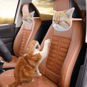 K&ouml;nnte beinhalten: Zwei braune Ledersitze mit einem Katzenkopfst&uuml;tzenkissen auf jedem. Die Katzenkopfst&uuml;tzenkissen sind rosa und haben ein braunes und wei&szlig;es Tabby-Katzen Gesicht darauf gedruckt. Eine rotbraune Katze sitzt auf dem Fahrersitz und schaut in die Kamera.