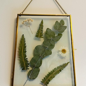 Botanisk glasram med äkta pressade blommor, eukalyptus, ormbunkevildblommor 20x15 cm