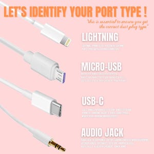 Puede incluir: Imagen que muestra cuatro tipos de cables: Lightning, Micro-USB, USB-C y conector de audio. El texto "LET'S IDENTIFY YOUR PORT TYPE!" est&aacute; en la parte superior, sobre un fondo rosa. Cada cable se acompa&ntilde;a de ejemplos de dispositivos compatibles.