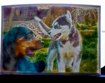 Custom Lithophane (Normal or Colorized)