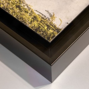 Puede incluir: Primer plano de una obra de arte enmarcada con un marco de madera marr&oacute;n oscuro. La obra presenta una secci&oacute;n de una pared con follaje verde y amarillo. La esquina del marco es visible, mostrando sus l&iacute;neas limpias y el borde de la obra.