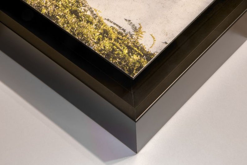 Puede incluir: Primer plano de una obra de arte enmarcada con un marco de madera marr&oacute;n oscuro. La obra presenta una secci&oacute;n de una pared con follaje verde y amarillo. La esquina del marco es visible, mostrando sus l&iacute;neas limpias y el borde de la obra.