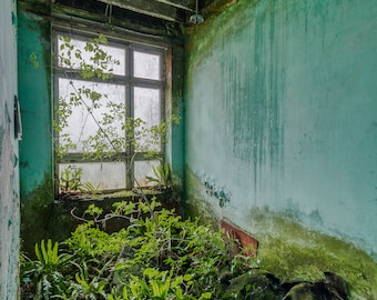 Fotografía urbex "El despacho del director"