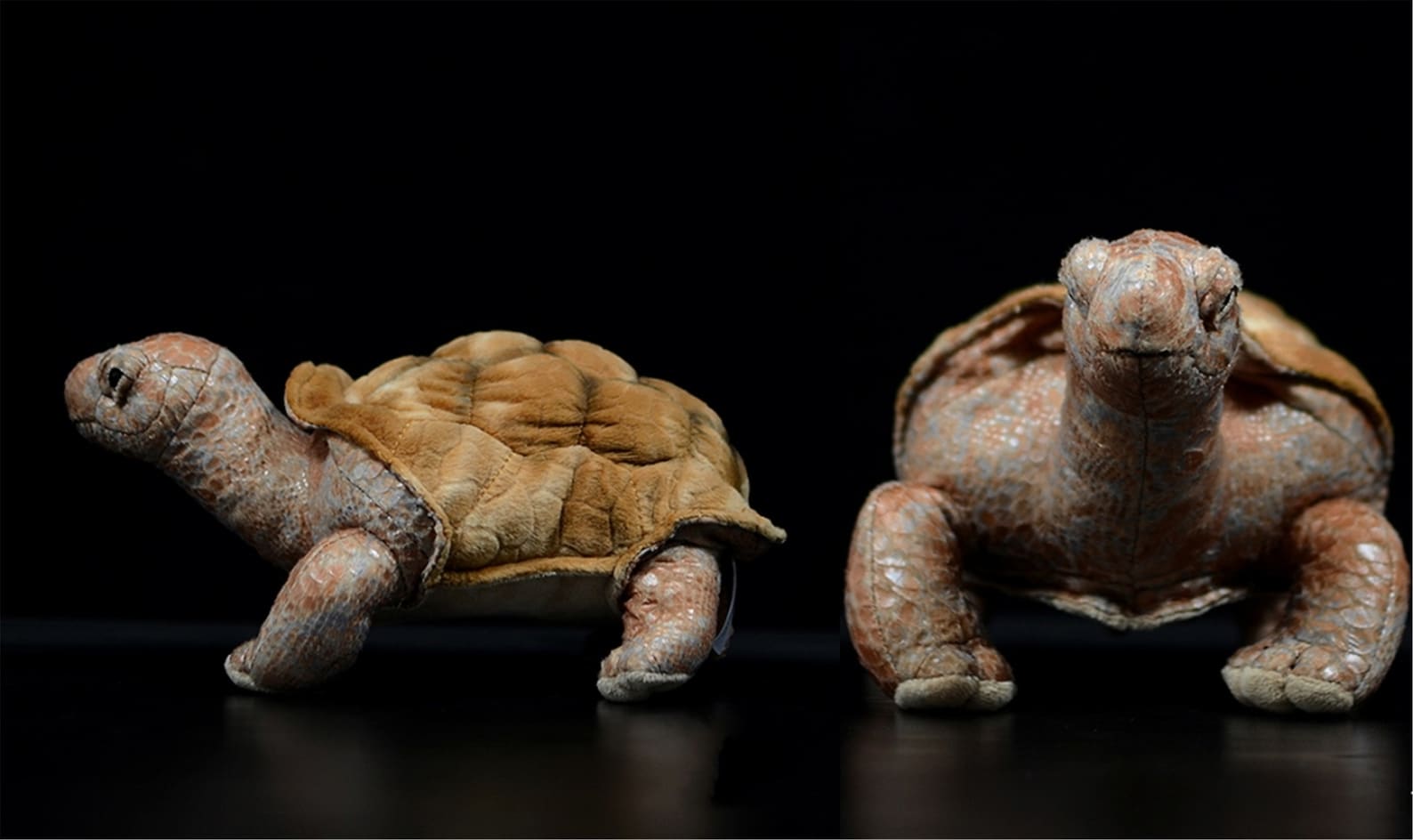 Mini Galapagos Giant Tortoise Plush Toy Tortoise Plush Toy Etsy