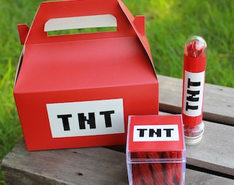 TNT Party Favor Boxes: Gamer Birthday Goody Bags