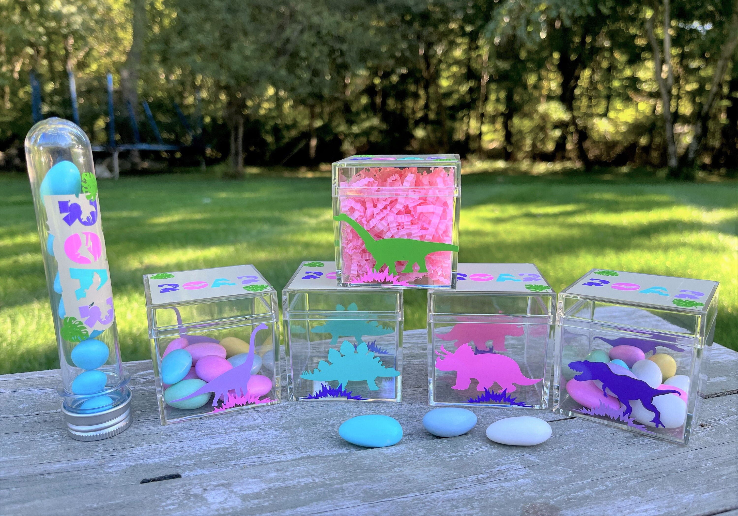 Dinosaur Candy Container Favor/ 2'x2'x2 Candy Container/Girl Dino Party Favor/T rex Birthday Container