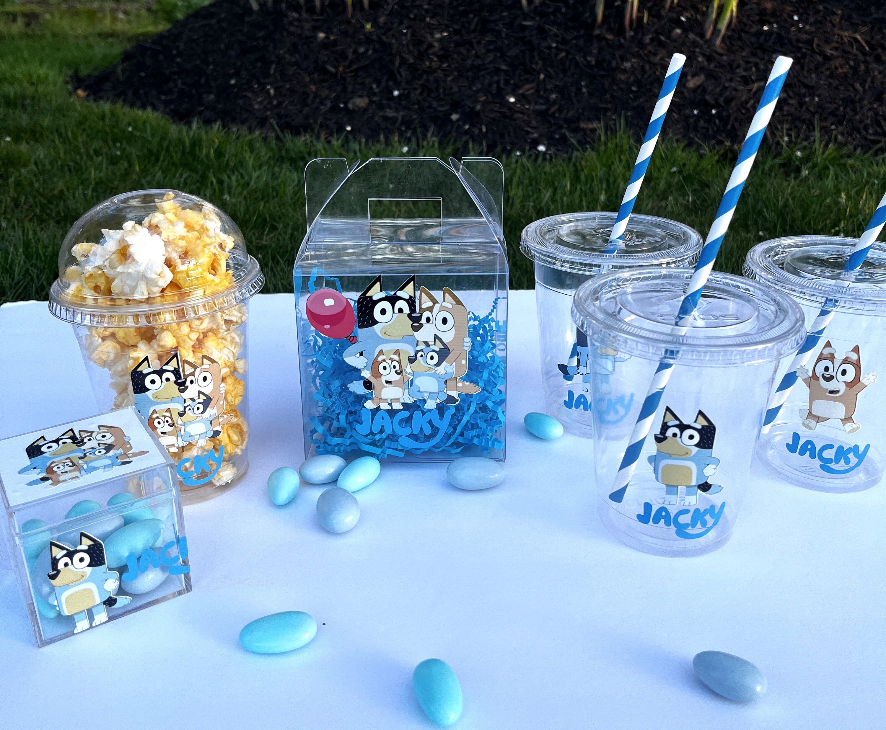 Handmade Bluey Gable Boxes
