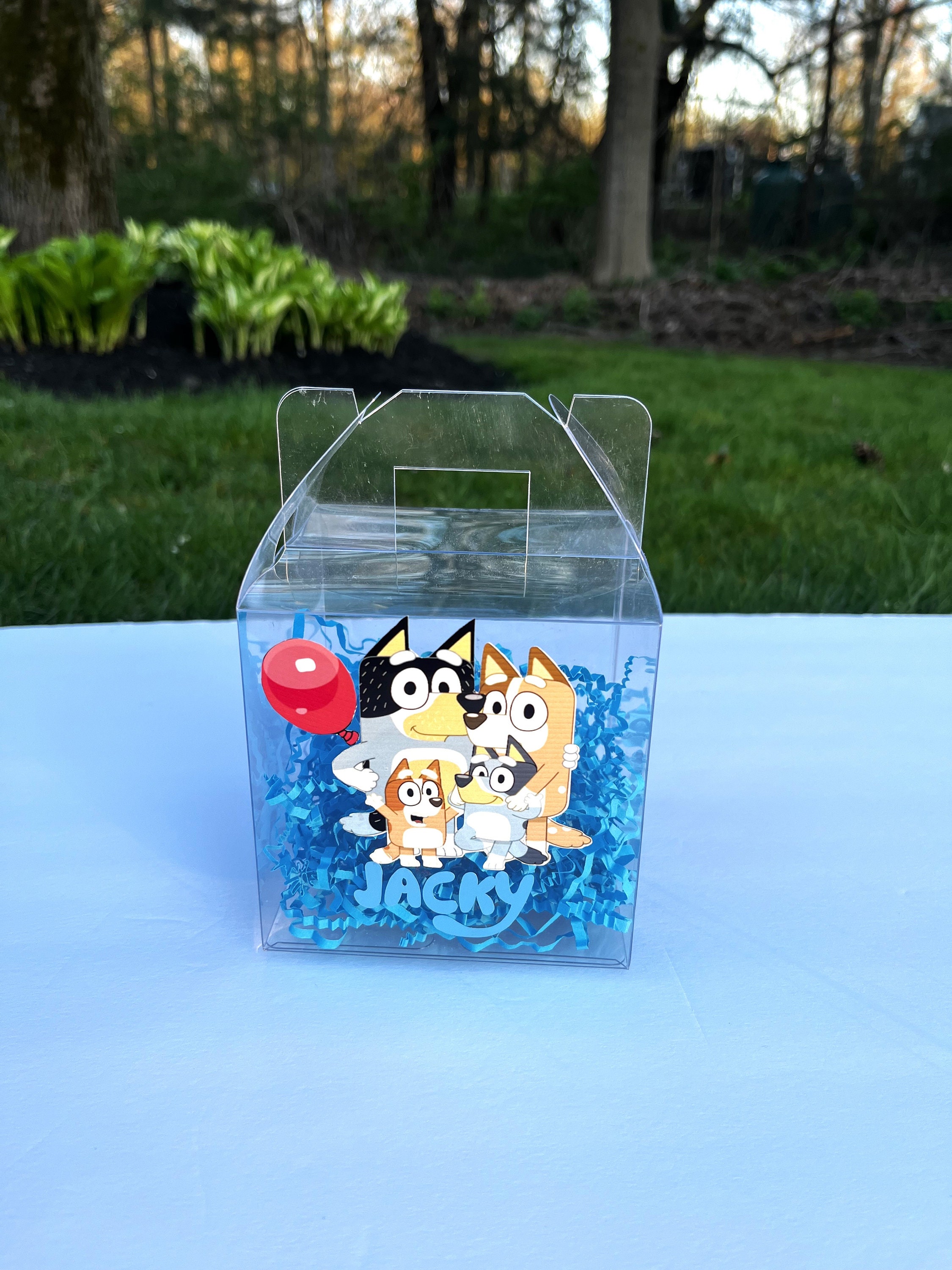 Handmade Bluey Gable Boxes