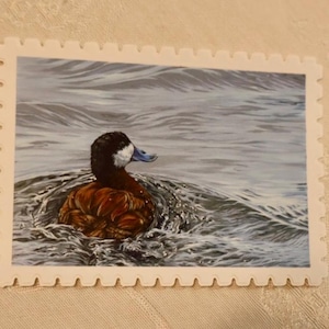 Puede incluir: Una impresión de un pato colorado nadando en el agua. El pato tiene la cabeza negra, una mancha blanca en la mejilla y el cuerpo marrón. El agua es gris y ondulada, y la impresión tiene un borde decorativo.