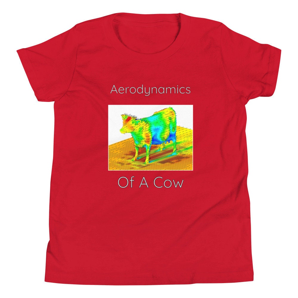 Aerodynamics of a Cow, Aerodynamics Meme, Funny Cow Meme, Youth Short