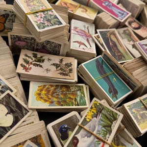 Vintage Ephemera-pakket voor junkjournalen | 25 vintage sigarettenkaarten, theekaarten journaling, vintage sigarettenkaarten junk journal kit