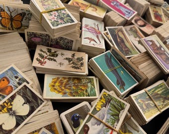 May include: A collection of vintage trading cards featuring various illustrations. The cards depict butterflies, flowers, fish, and other natural elements. Many stacks are bound with rubber bands, showcasing a variety of colors and designs.