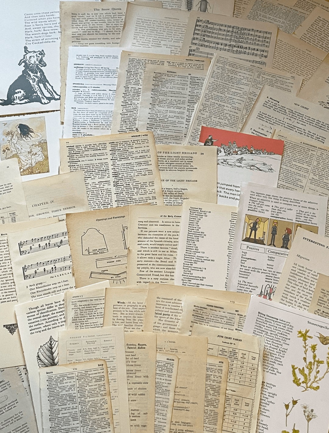Vintage Book Pages Paper Pack | 25 Pieces Vintage Book Ephemera | Junk ...