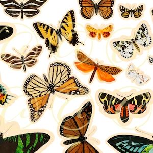 Vintage Digital Fussy Cuts | Vintage Ephemera, Butterflies Fussy Cuts, Scrapbooking Collage Sheet, Moths Junk Journal Supplies