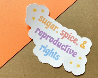 Sugar Spice & Reproductieve Rechten, Pro Choice Sticker, Feministische Gift, Vinyl Decoratieve Sticker