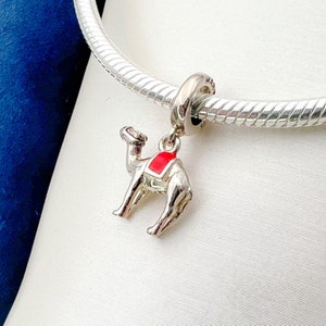 Op de afbeelding: Een zilveren bedel in de vorm van een kameel met een rood zadel. De bedel is bevestigd aan een zilveren ketting.