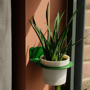 May include: A wall-mounted green metal plant shelf with a scalloped edge, holding a white cylindrical plastic pot containing a tall, spiky green snake plant. The shelf is secured to a flat, solid-coloured wall surface with a visible black screw.