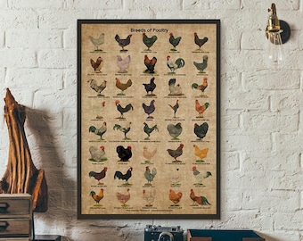 Breeds of Poultry and Roosters Breeds Print Poultry Chickens Vintage Poster Kitchen Art Canvas Painting Pictures Home Room Decor