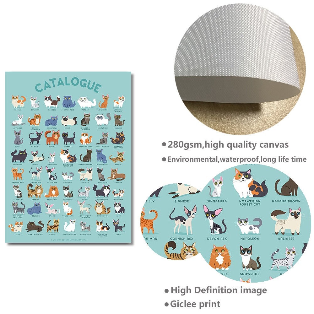 Cartoon Cute Cat Modern CATALOGUE Cats Poster Canvas Painting Wall