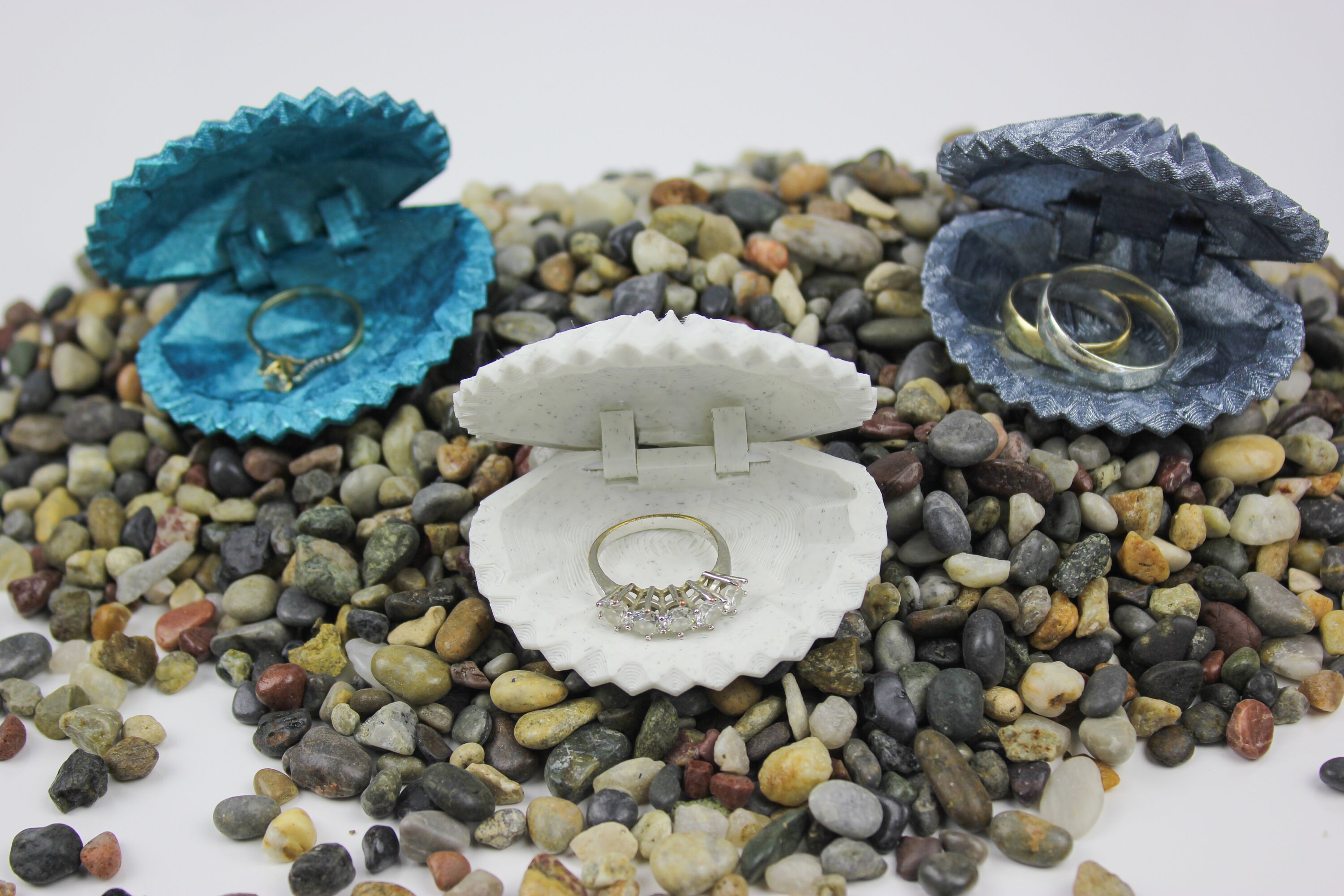 3D Printed Sea Shell Ring Box Different Color Options Ring Etsy